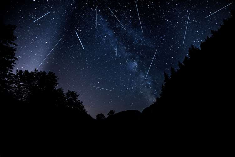 Night view in the forest with the Milky Way